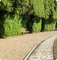 Gravel pathway with stone border