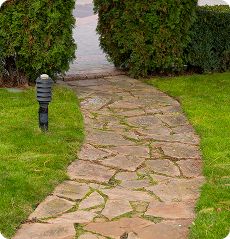 Winding garden pathway